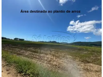 LOTE 001 - Terreno Rural