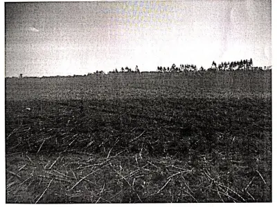 LOTE 001 - Terreno Rural