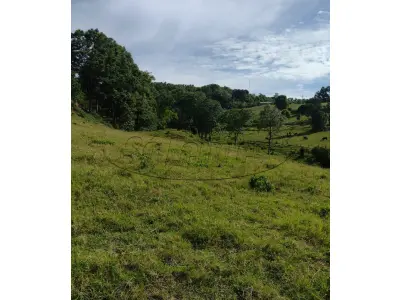 LOTE 001 - Terreno Rural