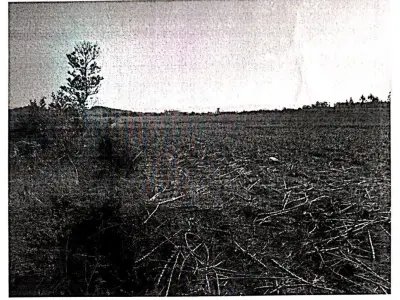 LOTE 001 - Terreno Rural