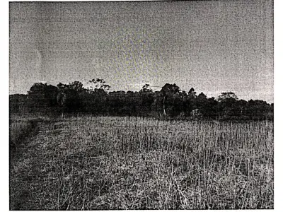 LOTE 001 - Terreno Rural