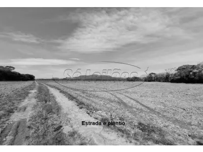 LOTE 001 - Terreno Rural