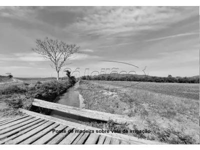 LOTE 001 - Terreno Rural