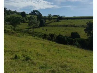 LOTE 001 - Terreno Rural