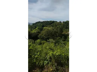 LOTE 001 - Terreno Rural