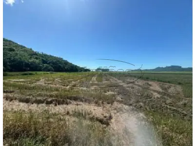 LOTE 001 - Terreno Rural