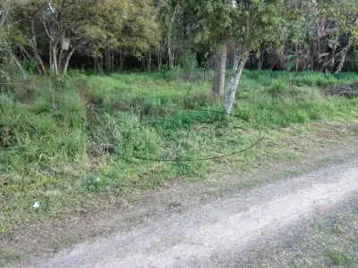 LOTE 000 - terreno