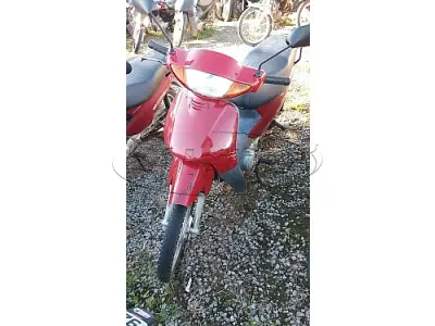 LOTE 29199 - 29199