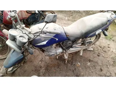 LOTE 29172 - 29172