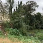 LOTE 001 - TERRENO EDIFICADO