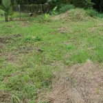 LOTE 001 - Terreno Urbano