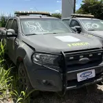 LOTE 051 - PICAPE
