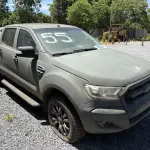 LOTE 055 - PICAPE
