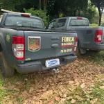 LOTE 056 - PICAPE