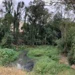 LOTE 001 - TERRENO EDIFICADO