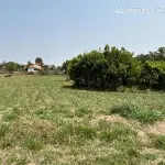 LOTE 419 - SP/SAO PEDRO/CASA