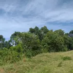 TERRENO RURAL
