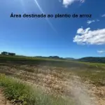 LOTE 001 - Terreno Rural