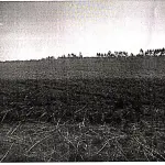 LOTE 001 - Terreno Rural