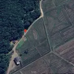 LOTE 001 - Terreno Rural
