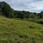 TERRENO RURAL