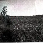 LOTE 001 - Terreno Rural