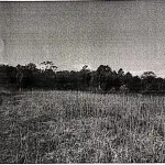 LOTE 001 - Terreno Rural