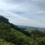 TERRENO RURAL
