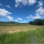 LOTE 001 - Terreno Rural