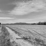 LOTE 001 - Terreno Rural