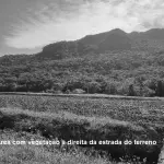 LOTE 001 - Terreno Rural