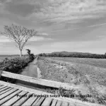 LOTE 001 - Terreno Rural