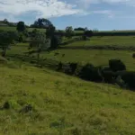 TERRENO RURAL
