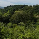 TERRENO RURAL