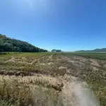 LOTE 001 - Terreno Rural
