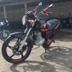 LOTE 29094