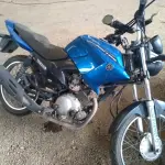 LOTE 29091