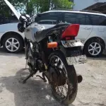 LOTE 29213
