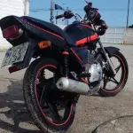 LOTE 29094