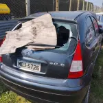 LOTE 29118