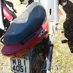 LOTE 29104