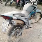 LOTE 29099