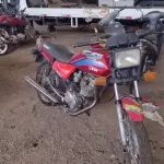 LOTE 29075