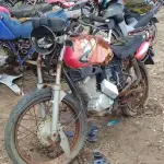 LOTE 29235