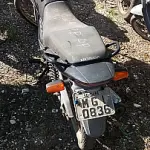 LOTE 29098