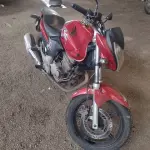 LOTE 29069