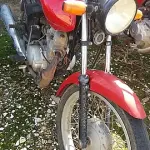 LOTE 29093
