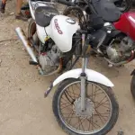 LOTE 29217