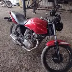LOTE 29073