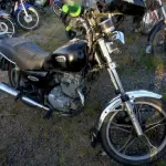 LOTE 29168